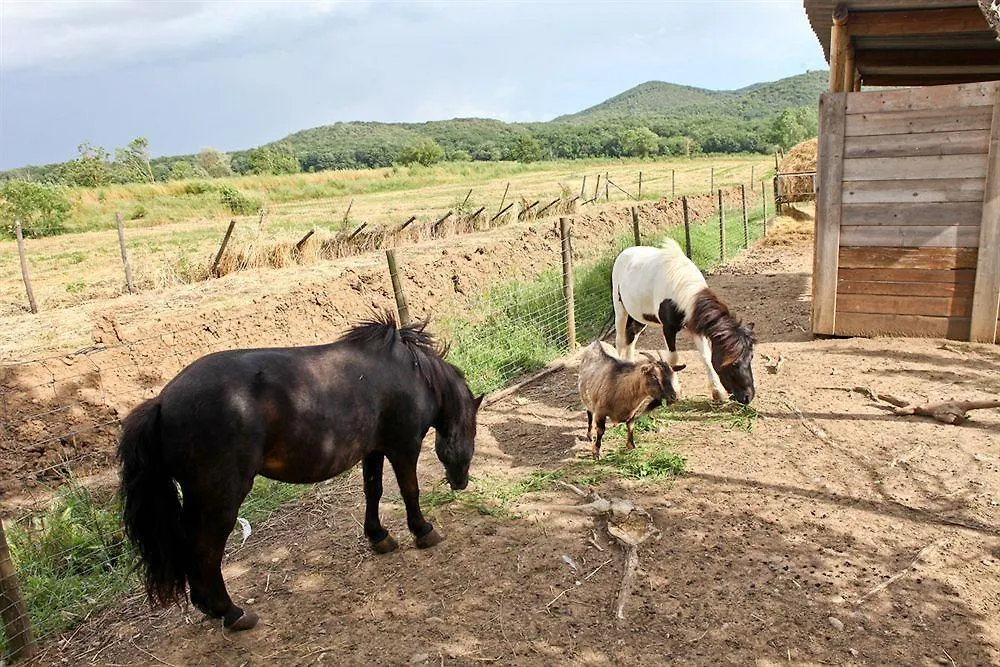 Farm stay Agriturismo Da Lorena Marsiliana