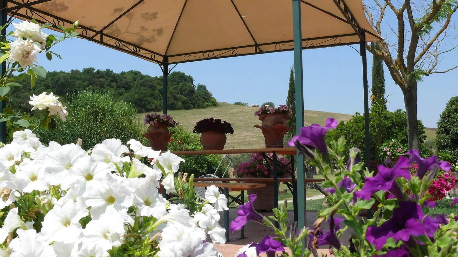 Farm stay Agriturismo Da Lorena Marsiliana